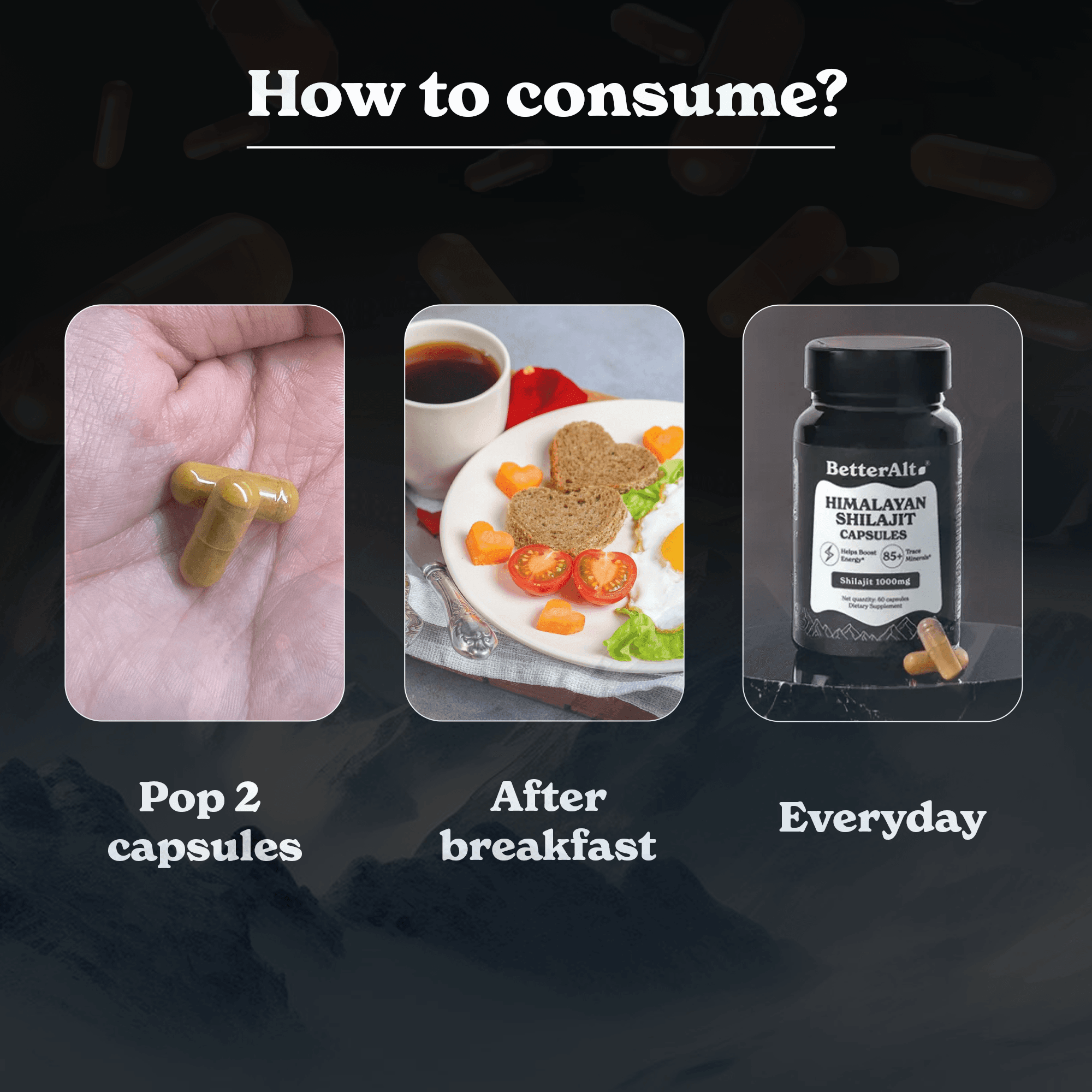 Himalayan Shilajit