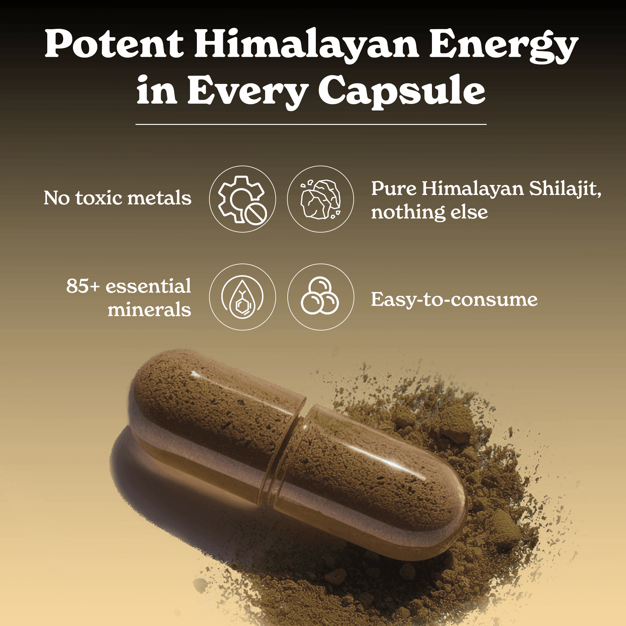 Himalayan Shilajit