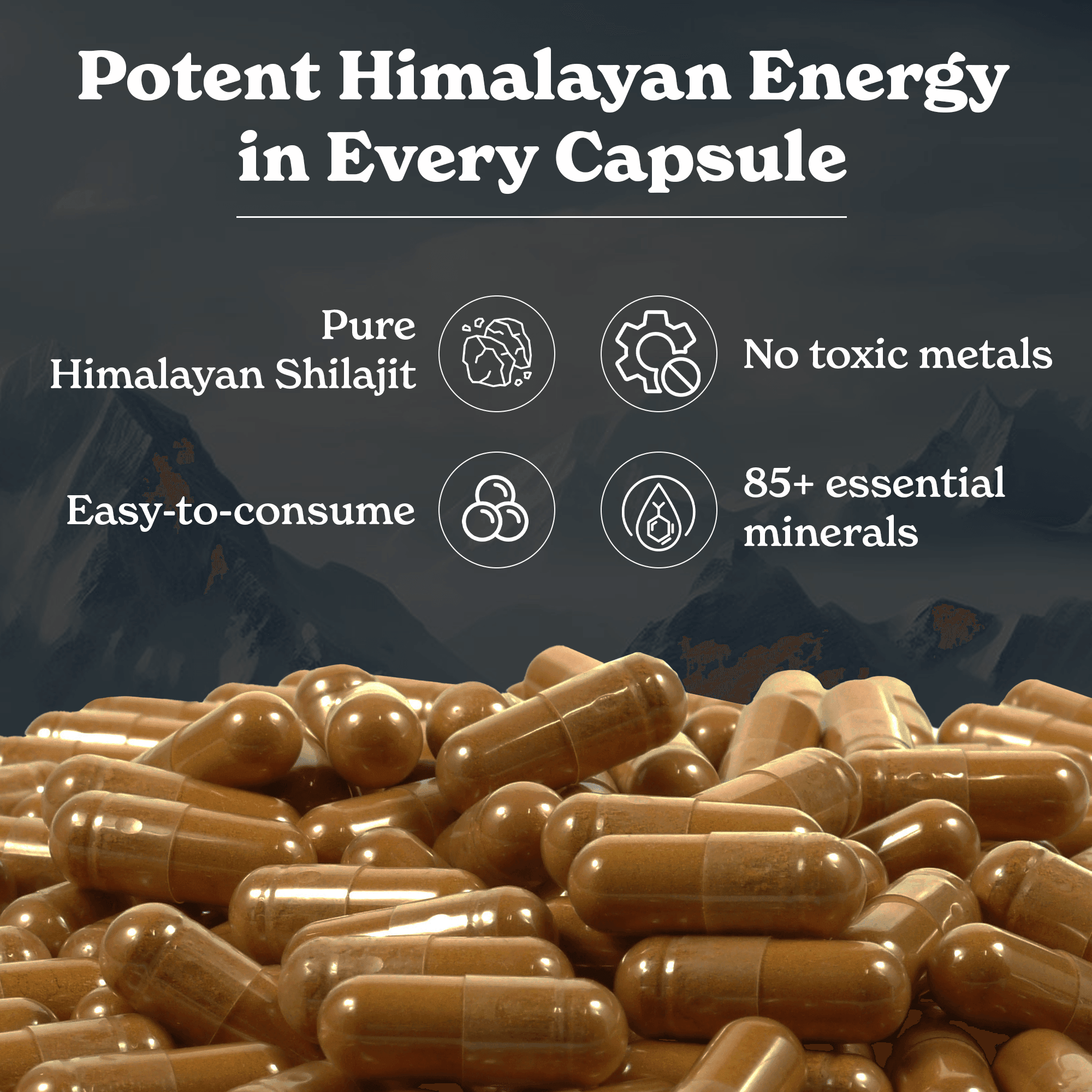 Himalayan Shilajit
