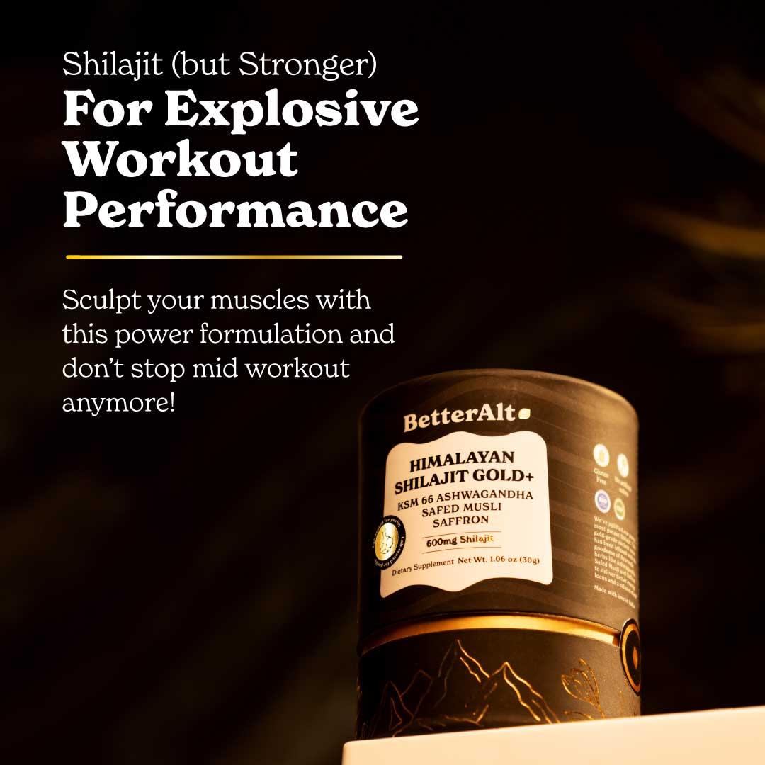 GOLD+ Himalayan Shilajit Resin