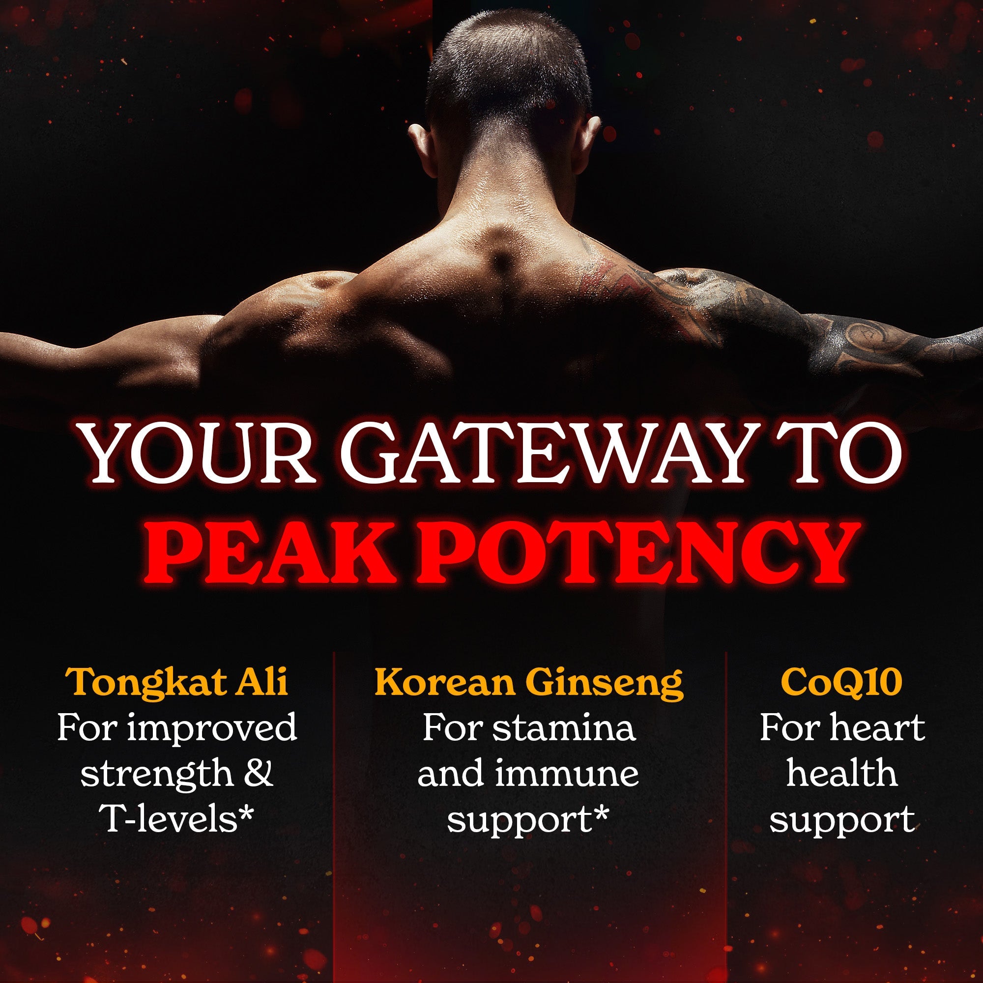 Male Vitality Capsules