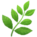 Promotes overall wellness