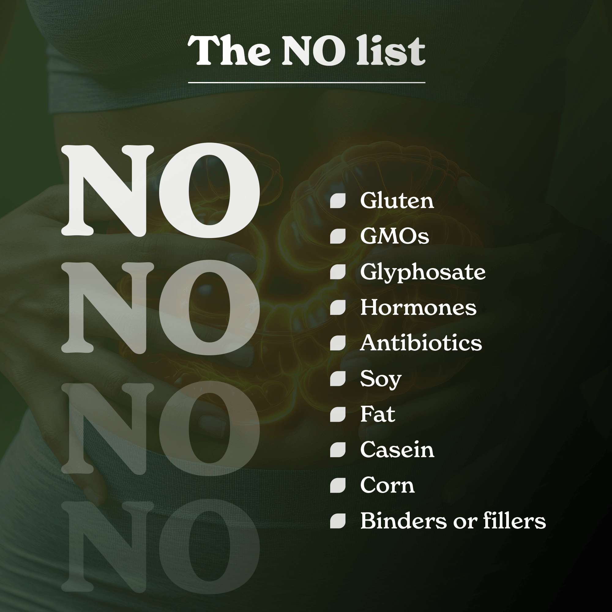 Psyllium Husk Powder