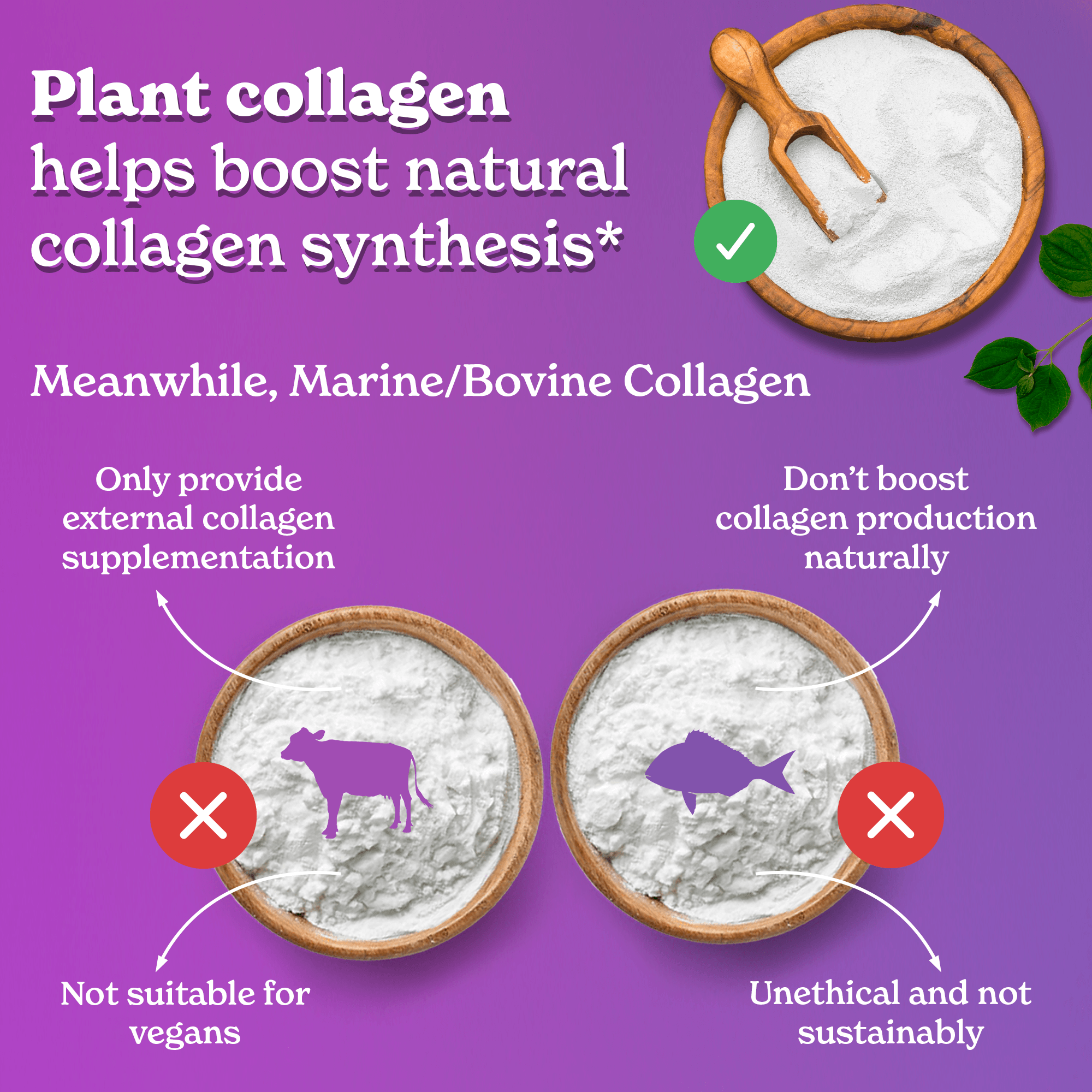 Stormi x BetterAlt | Hair Skin and Nail Gummies |